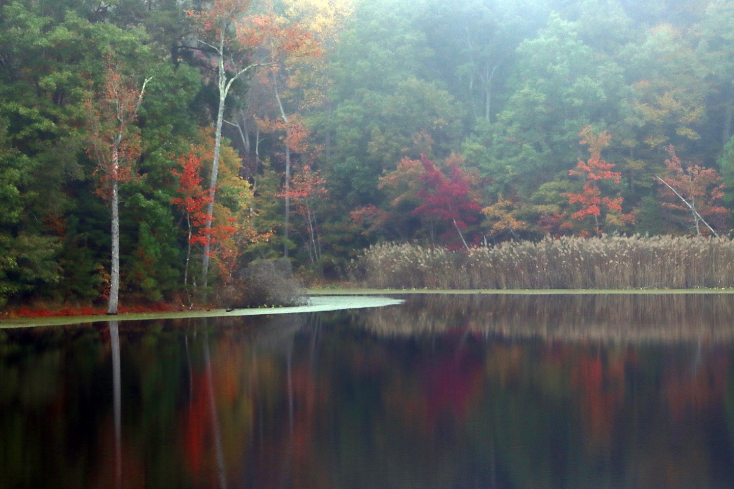 2nd PrizeOpen Color In Class 2 By Scott Cote For Autumn Reflections SEP-2023.jpg